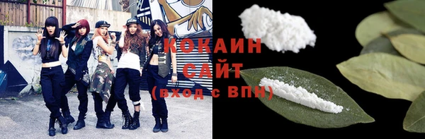 индика Гусиноозёрск