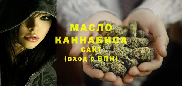твердый Гусев