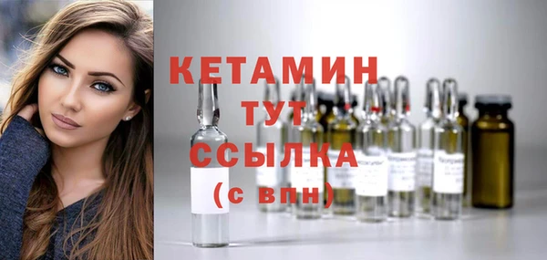 твердый Гусев