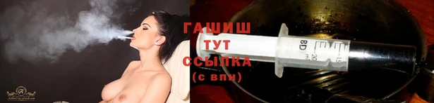 индика Гусиноозёрск