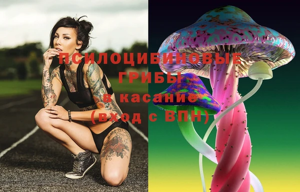 PSILOCYBIN Горно-Алтайск
