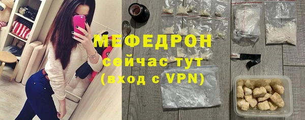 индика Гусиноозёрск