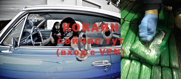 хмурый Гусь-Хрустальный