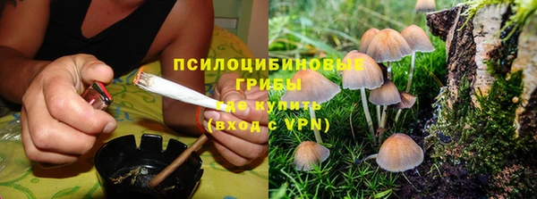 jwh Горнозаводск