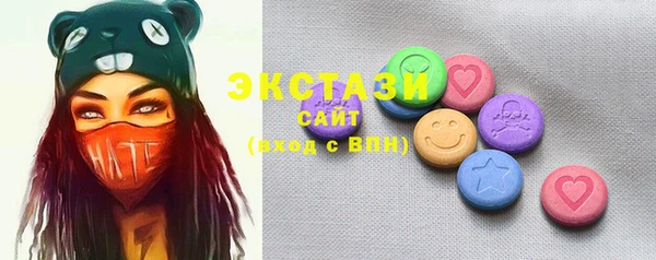 индика Гусиноозёрск