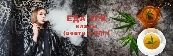 индика Гусиноозёрск