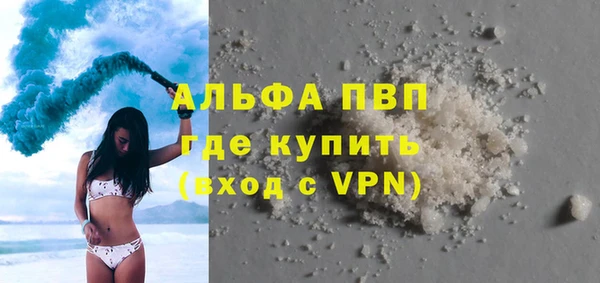 PSILOCYBIN Горно-Алтайск