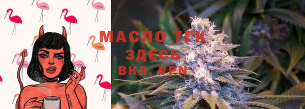 PSILOCYBIN Горно-Алтайск