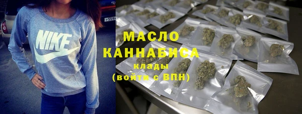 твердый Гусев